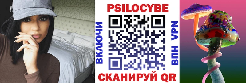 Галлюциногенные грибы Psilocybine cubensis  Балашиха 