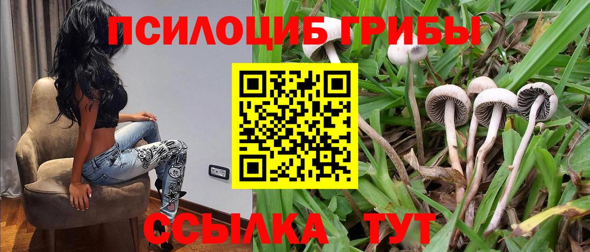 цены наркотик  Псилоцибиновые грибы Cubensis  Вход с VPN  Балашиха 