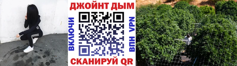 mega как зайти  Балашиха  Марихуана индика 